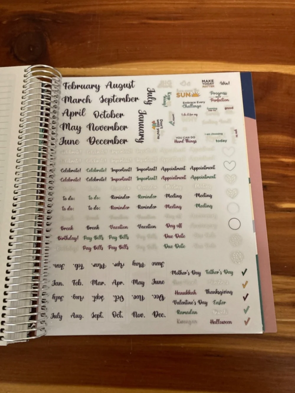 *LAST ONE*NEW The Budget Mom Live Rich Planner (Small) and Pink Folio